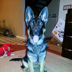 Meet your Posher, Nicole